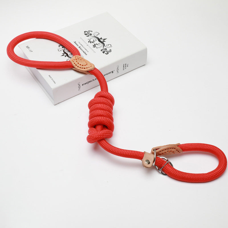 Slip Lead Training Dog Leash